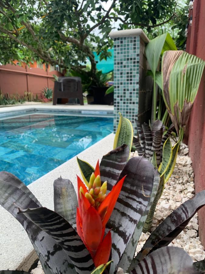 Villa Jade, La Fortuna Downtown Dış mekan fotoğraf